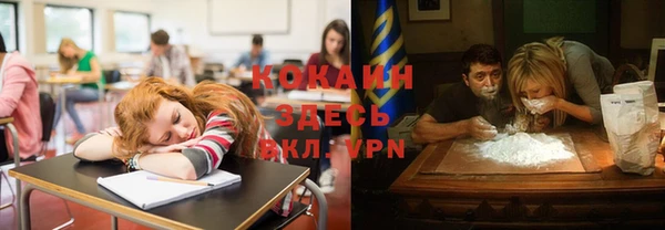 мяу мяу кристалл Няндома