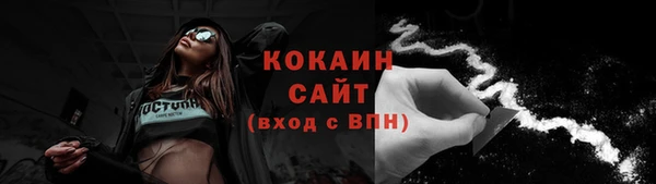 мяу мяу кристалл Няндома