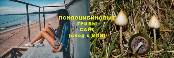 первитин Нягань