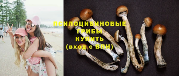 винт Нязепетровск